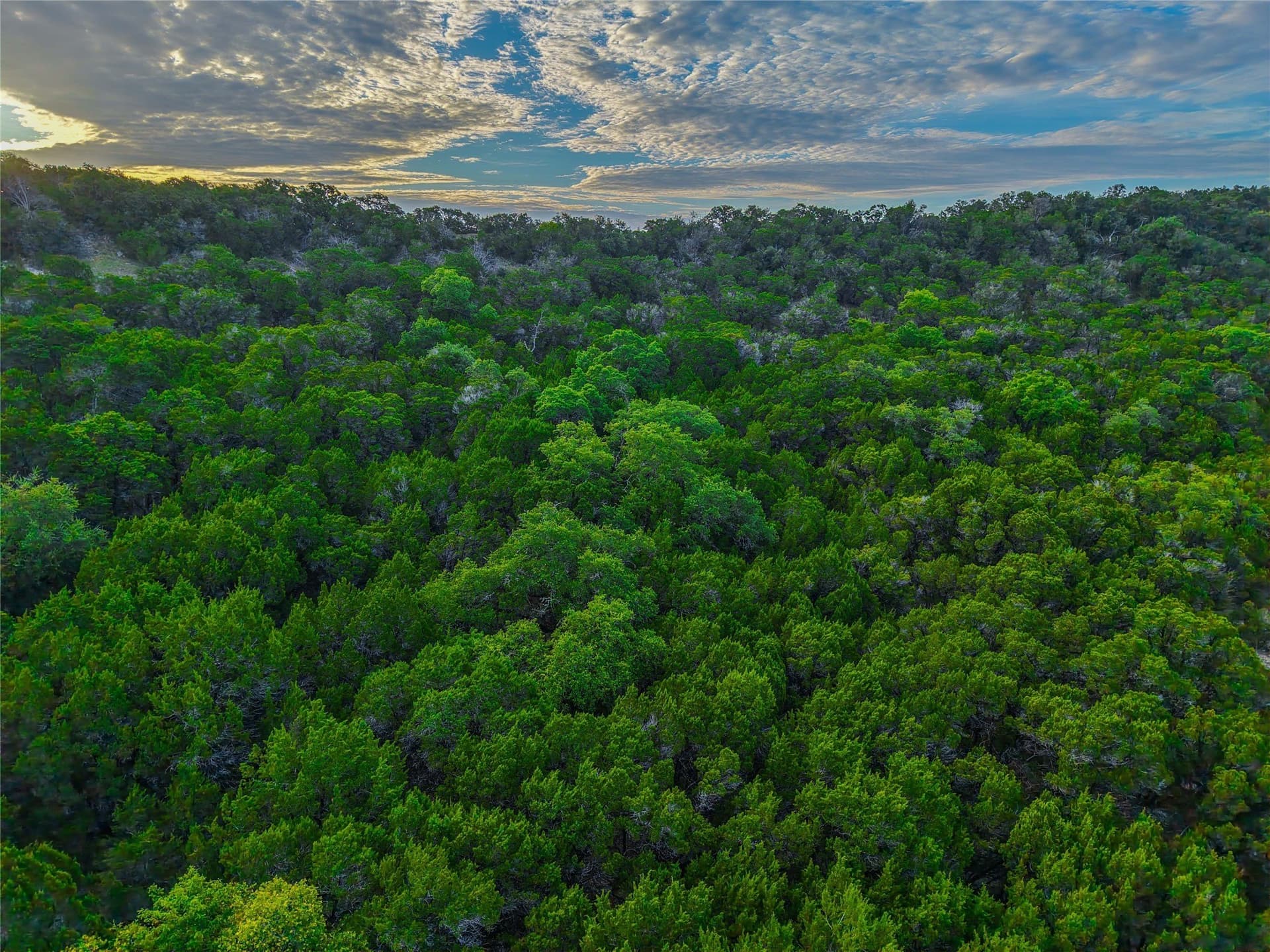 42.72 acres in Bell County - photo 13