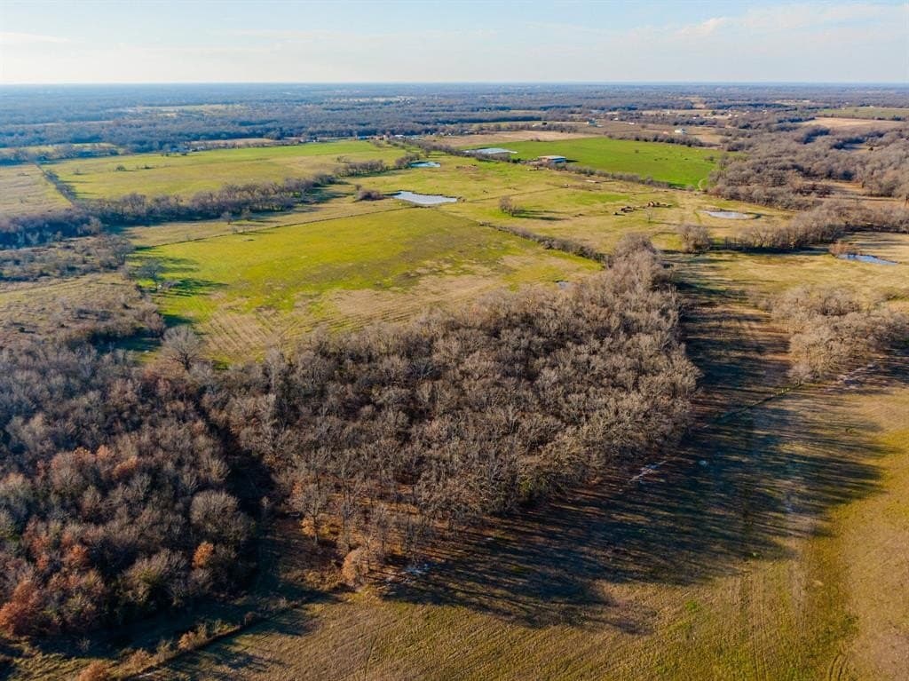 42.53 acres in Hopkins County gallery image 4