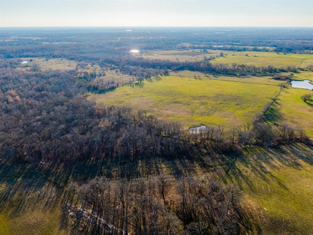 42.53 acres in Hopkins County featured view