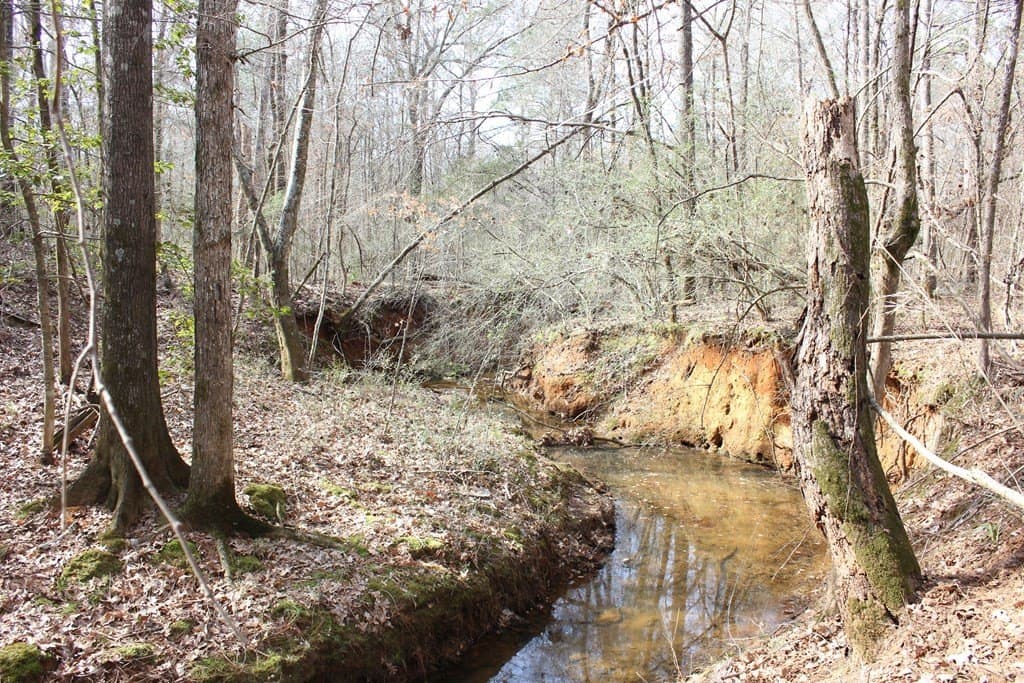 247.82 acres in Texas County - photo 6
