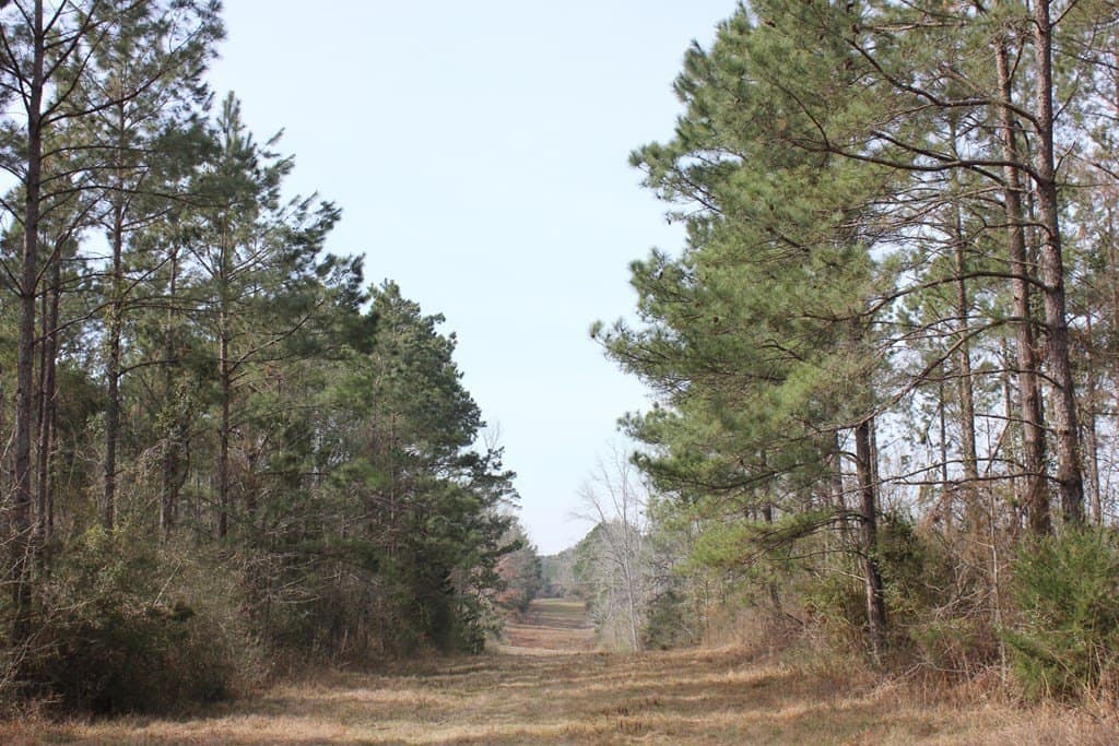 247.82 acres in Texas County - photo 14