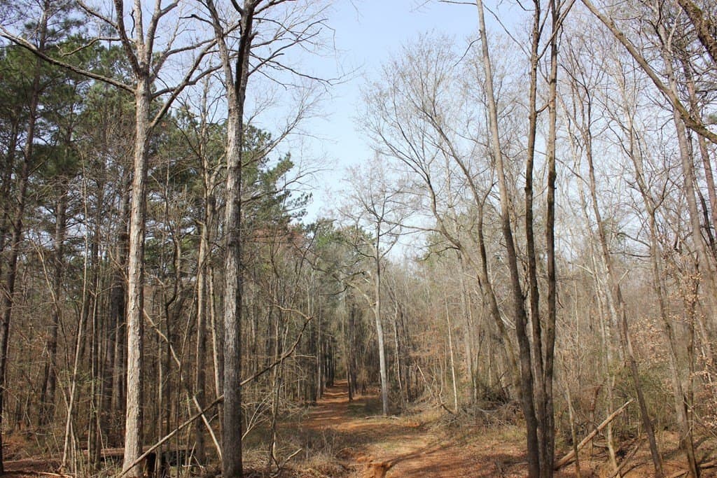 247.82 acres in Texas County - photo 3