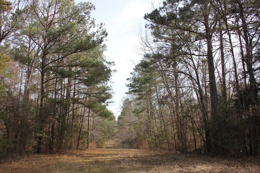 247.82 acres in Texas County - photo 12
