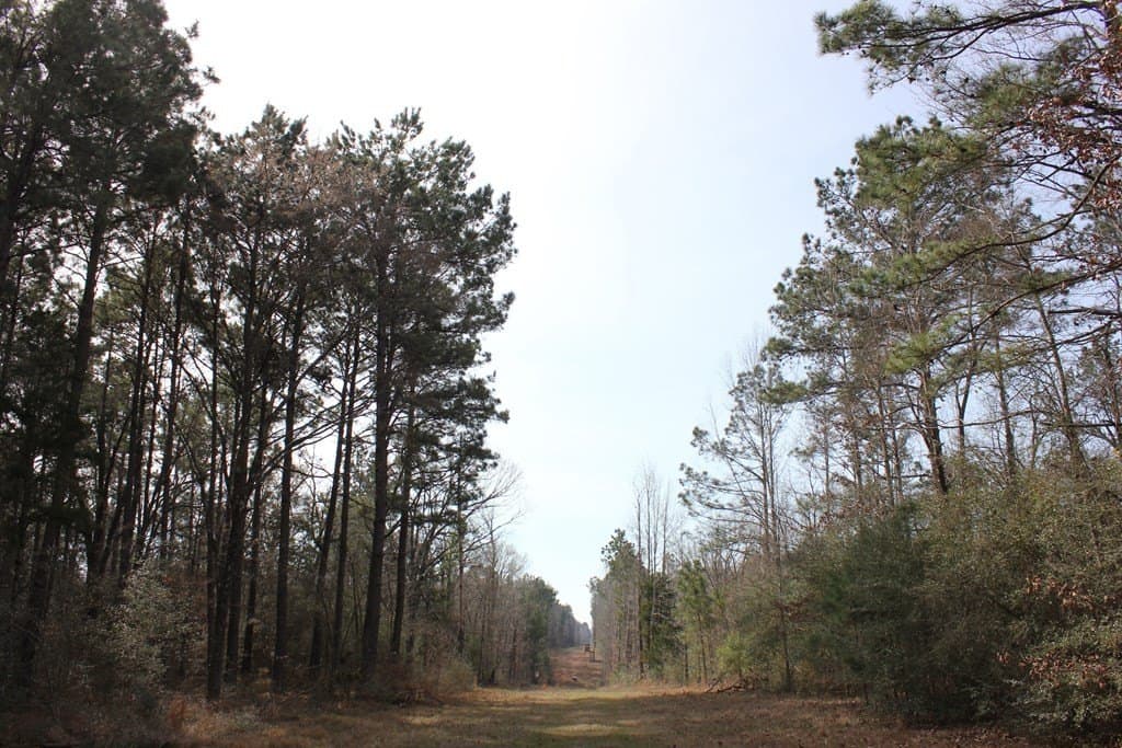 247.82 acres in Texas County - photo 8