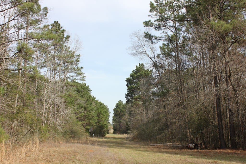 247.82 acres in Texas County - photo 10