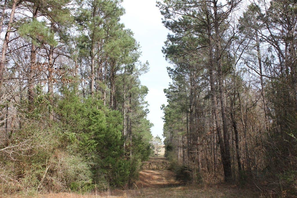 247.82 acres in Texas County - photo 13