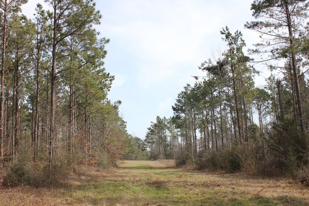 247.82 acres in Texas County - photo 15