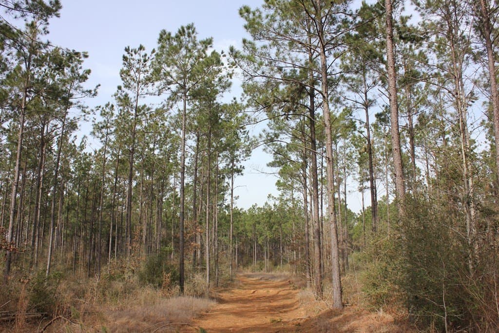 247.82 acres in Texas County - photo 20