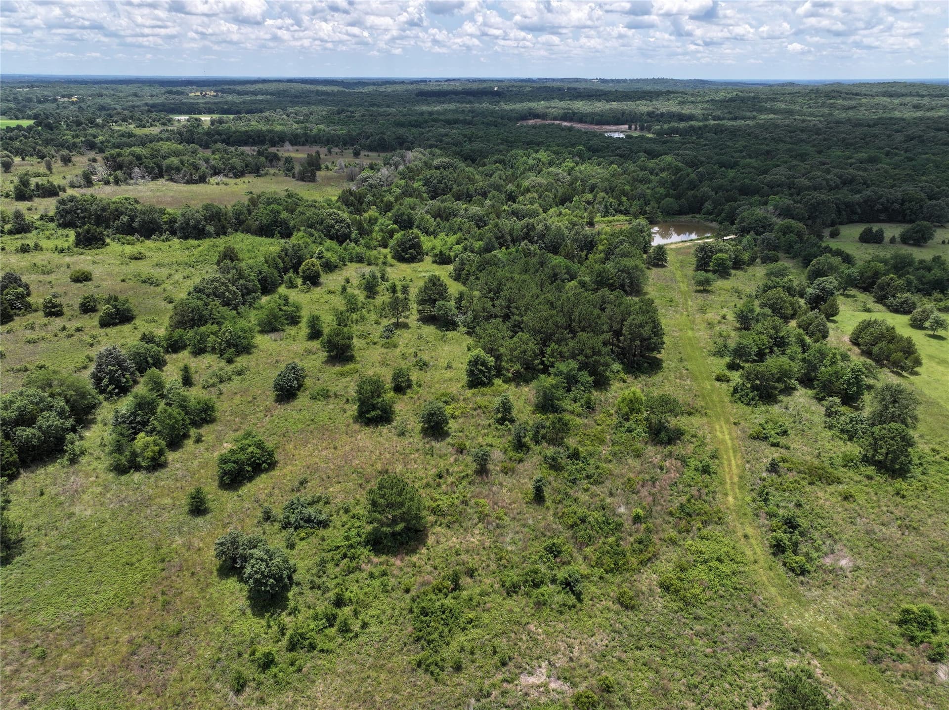 25.26 acres in Van Zandt County gallery image 4