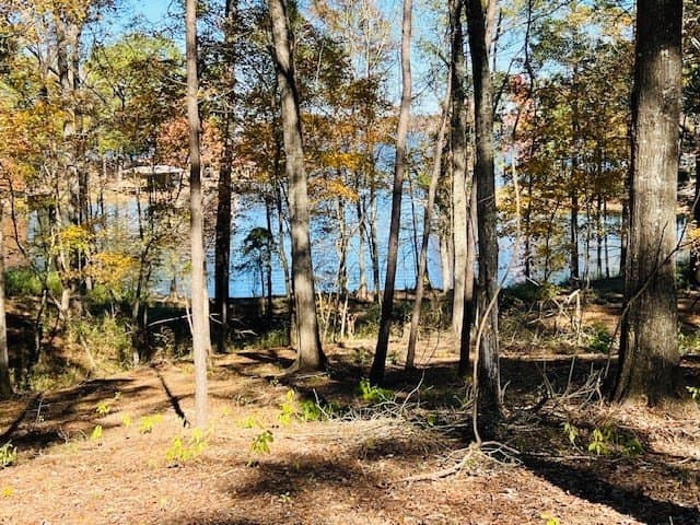 1.69 acres in Texas County gallery image 3