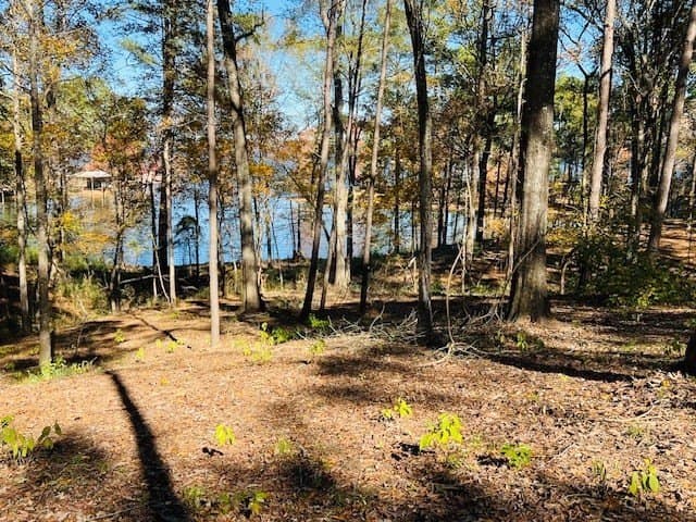 1.69 acres in Texas County gallery image 2