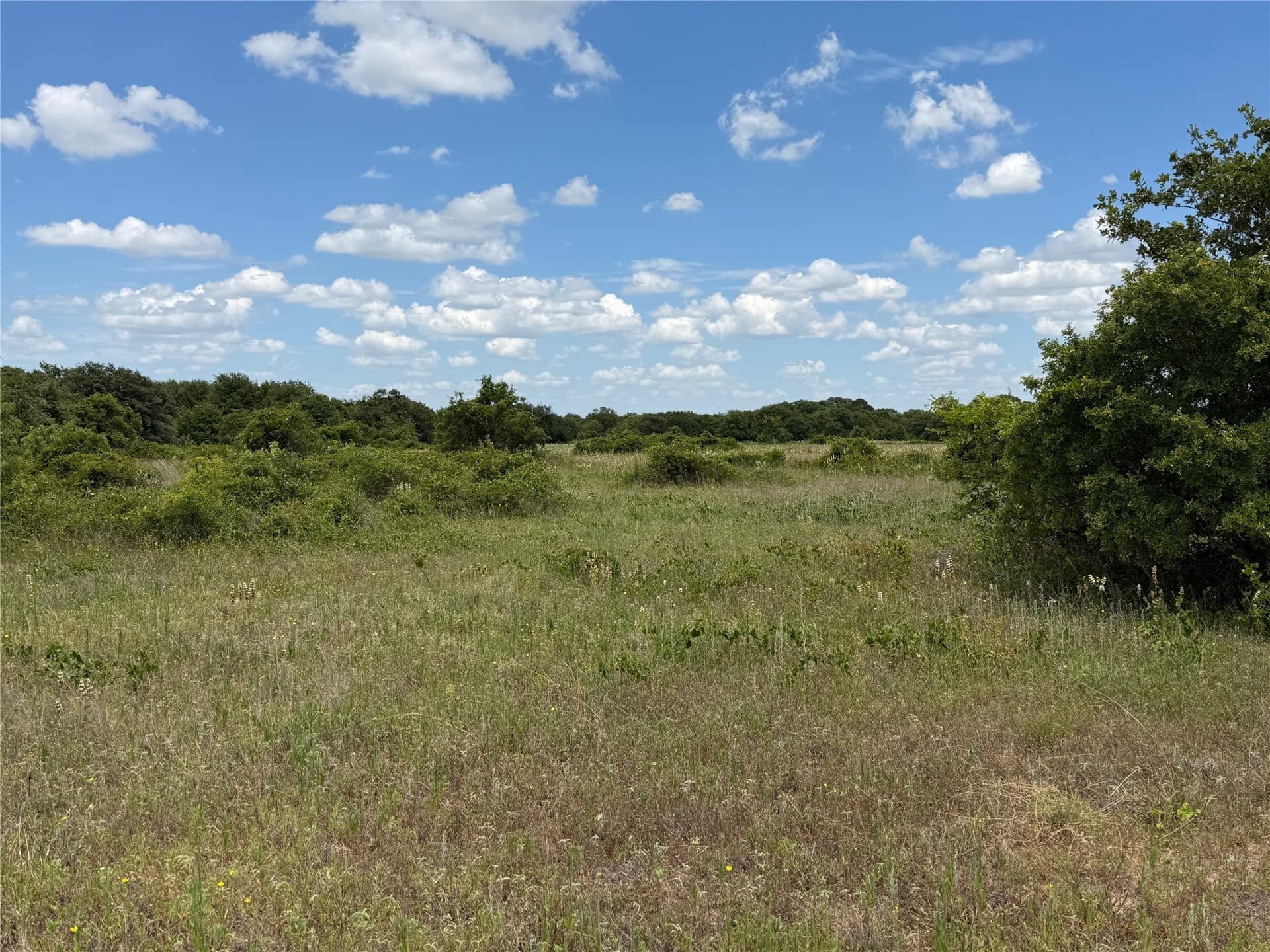 20 acres in Eastland County