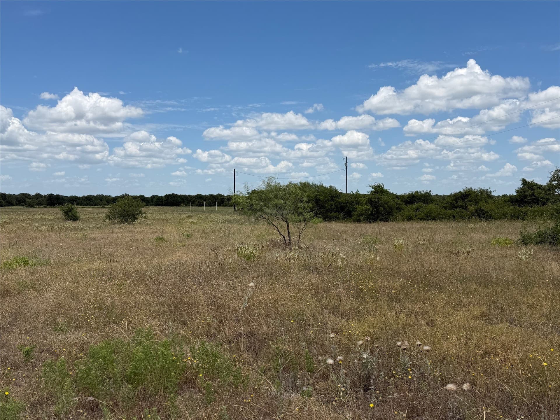 20 acres in Eastland County - photo 11