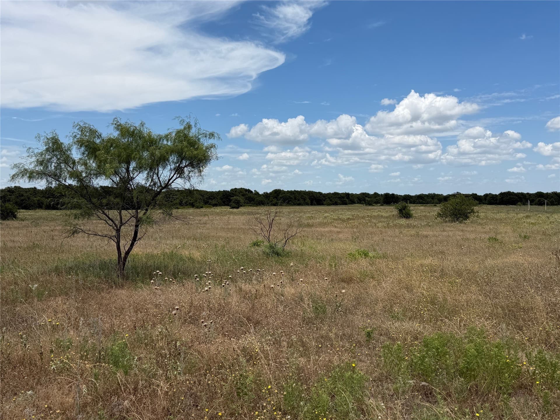 20 acres in Eastland County - photo 10