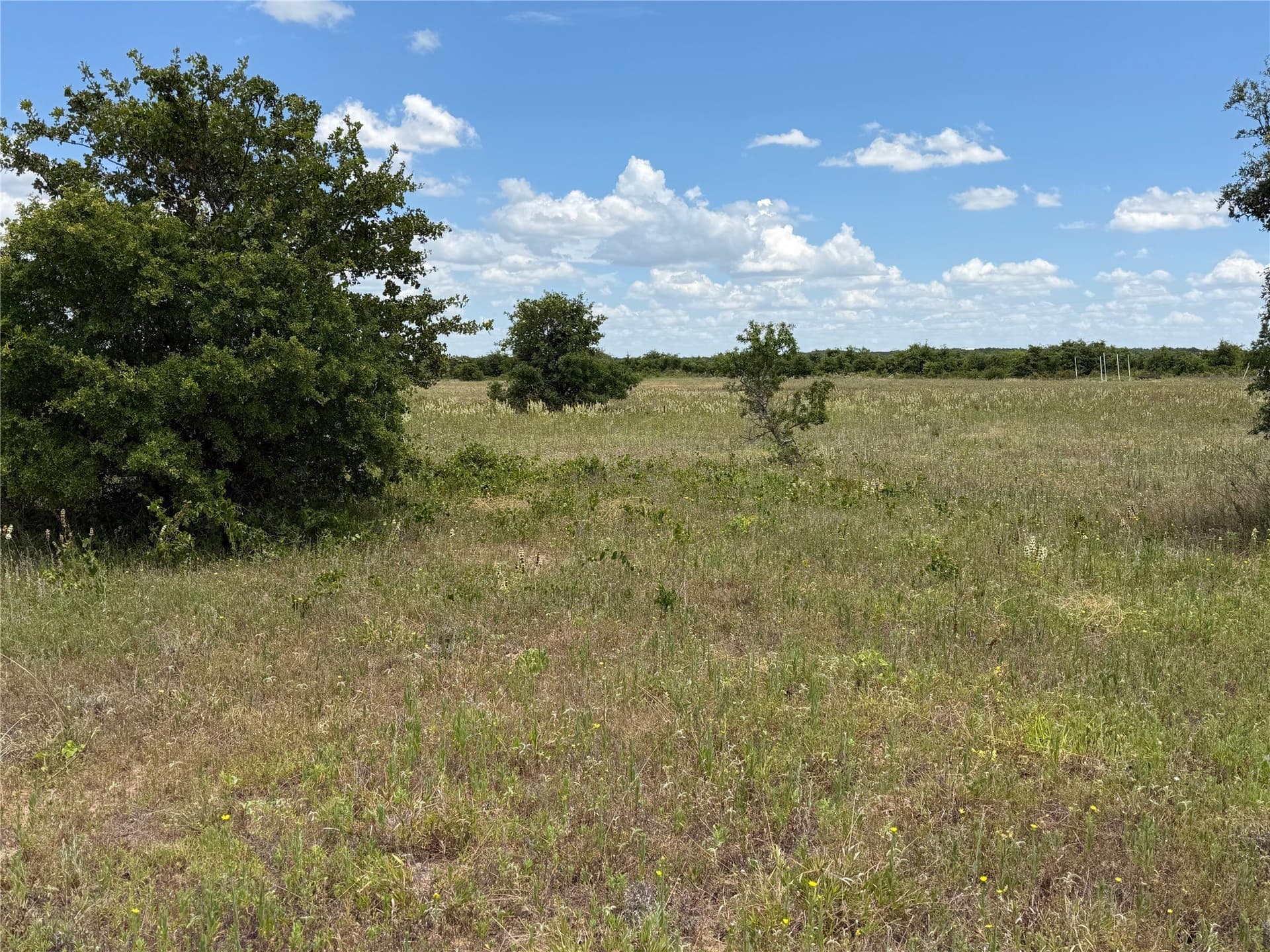20 acres in Eastland County - photo 6