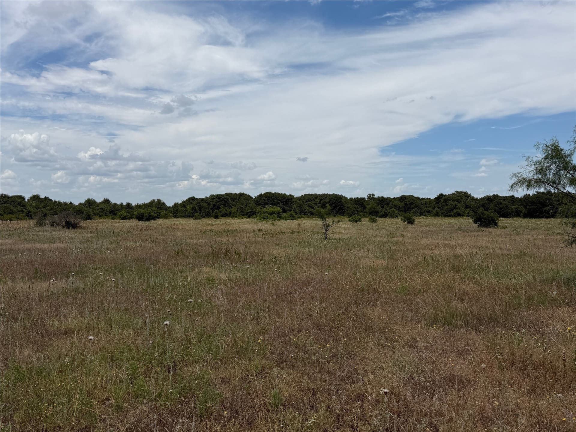 20 acres in Eastland County - photo 9