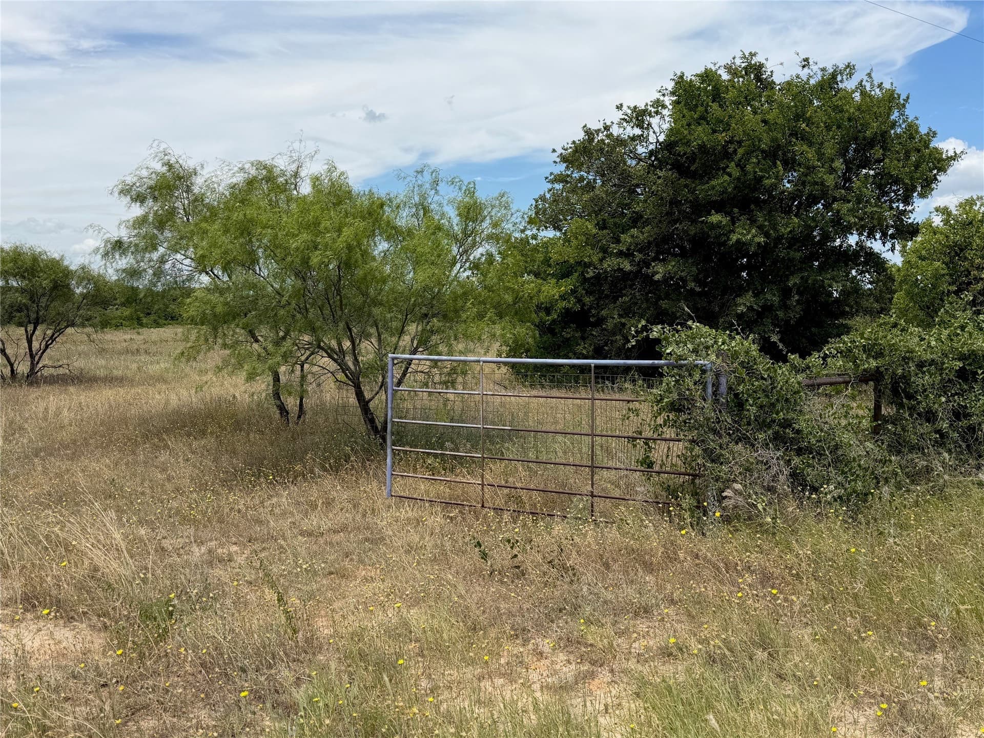 20 acres in Eastland County - photo 3