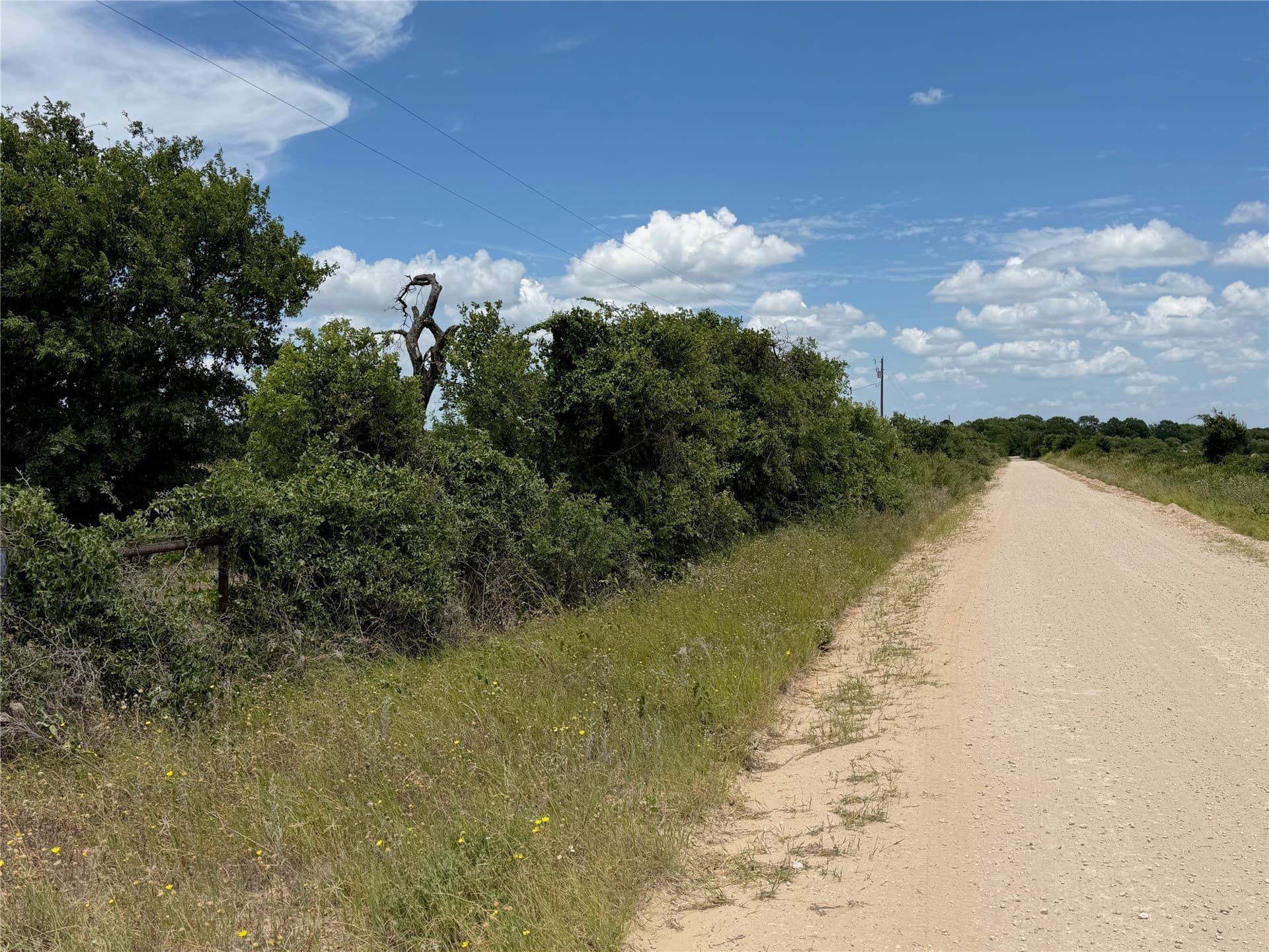 20 acres in Eastland County - photo 2