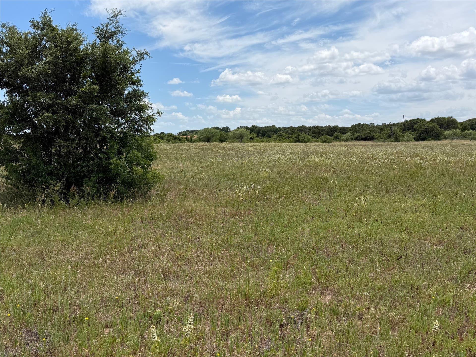 20 acres in Eastland County - photo 7