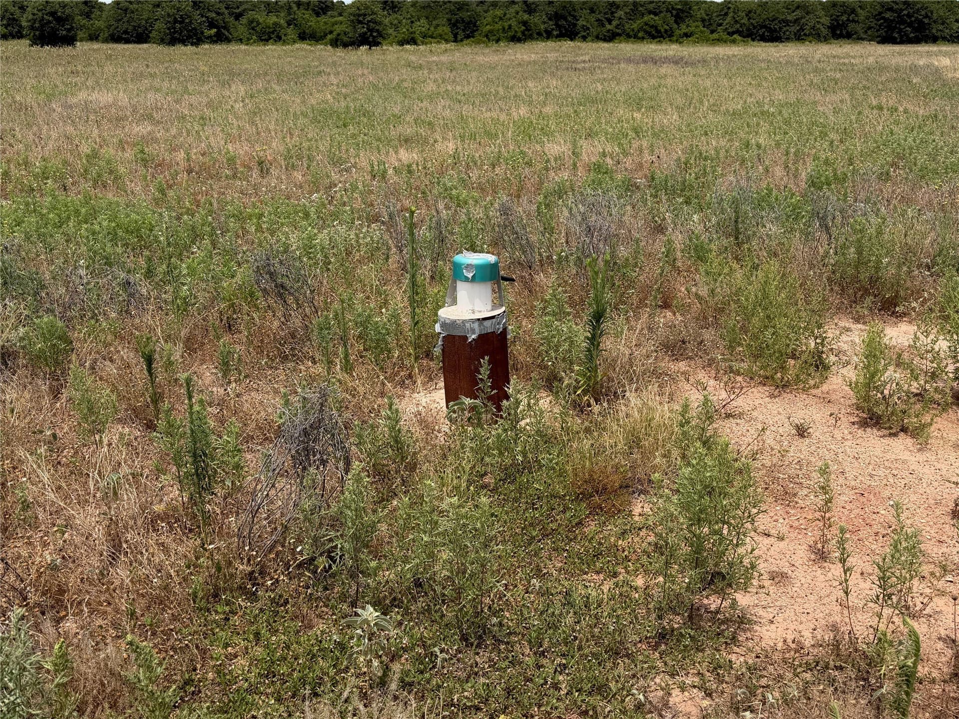 20 acres in Eastland County - photo 12