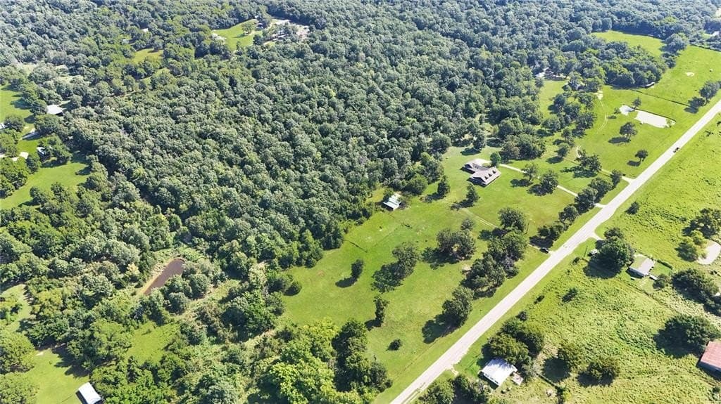 26 acres in Lamar County gallery image 2