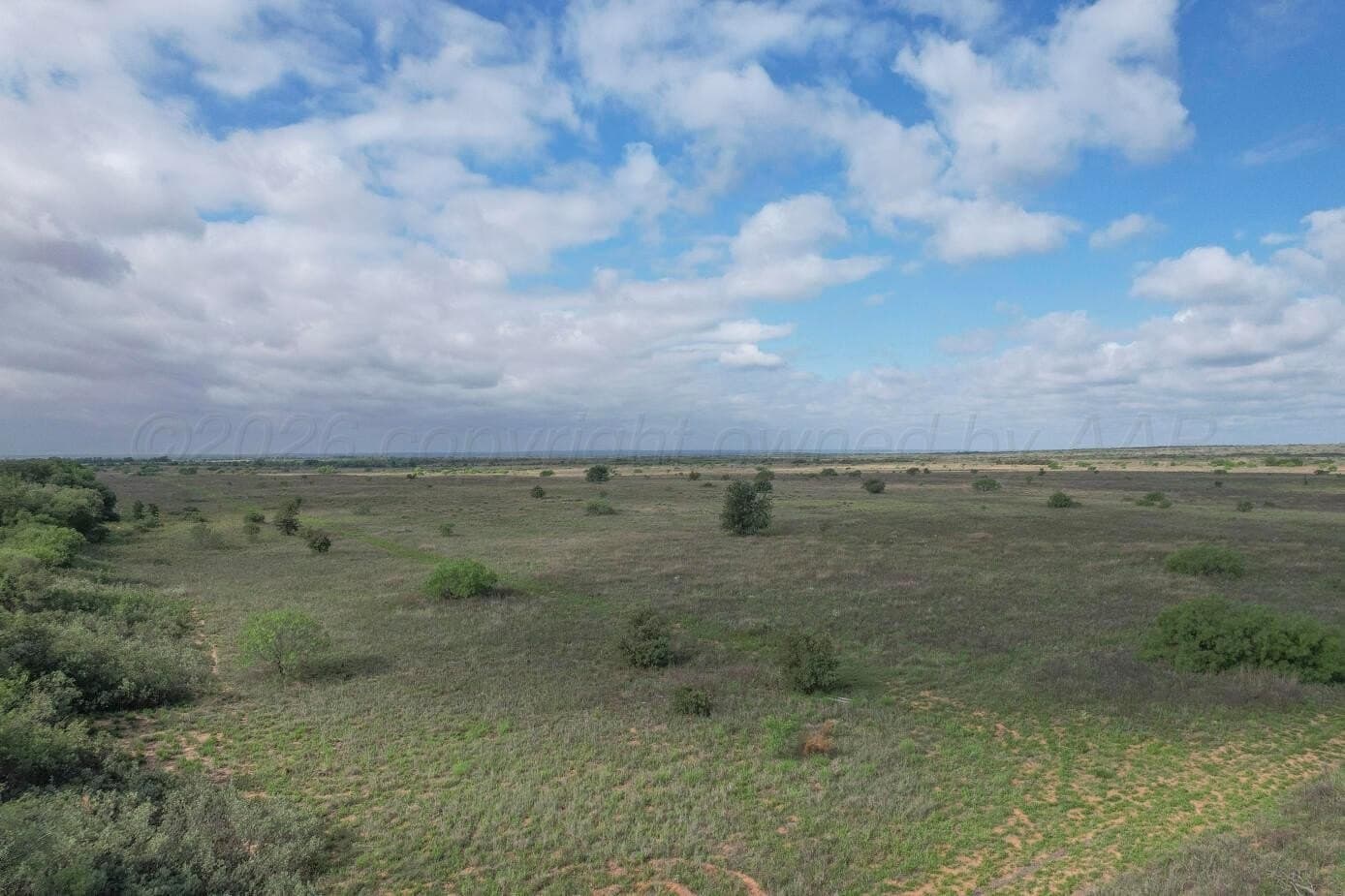 237.5 acres in Cottle County gallery image 2