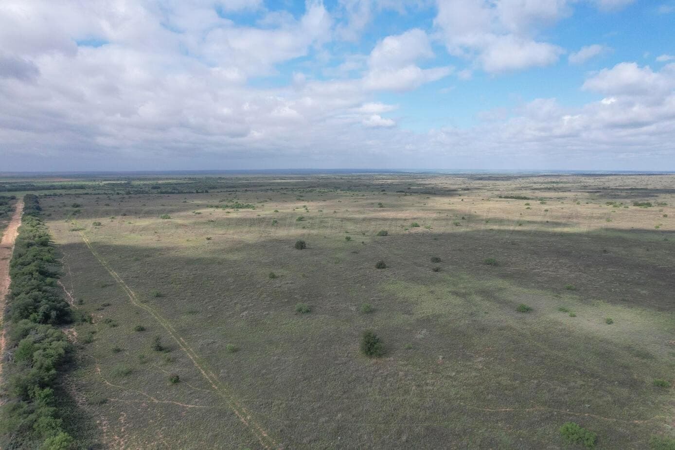 237.5 acres in Cottle County gallery image 4