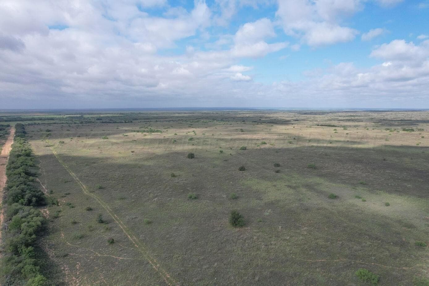 237.5 acres in Cottle County featured view