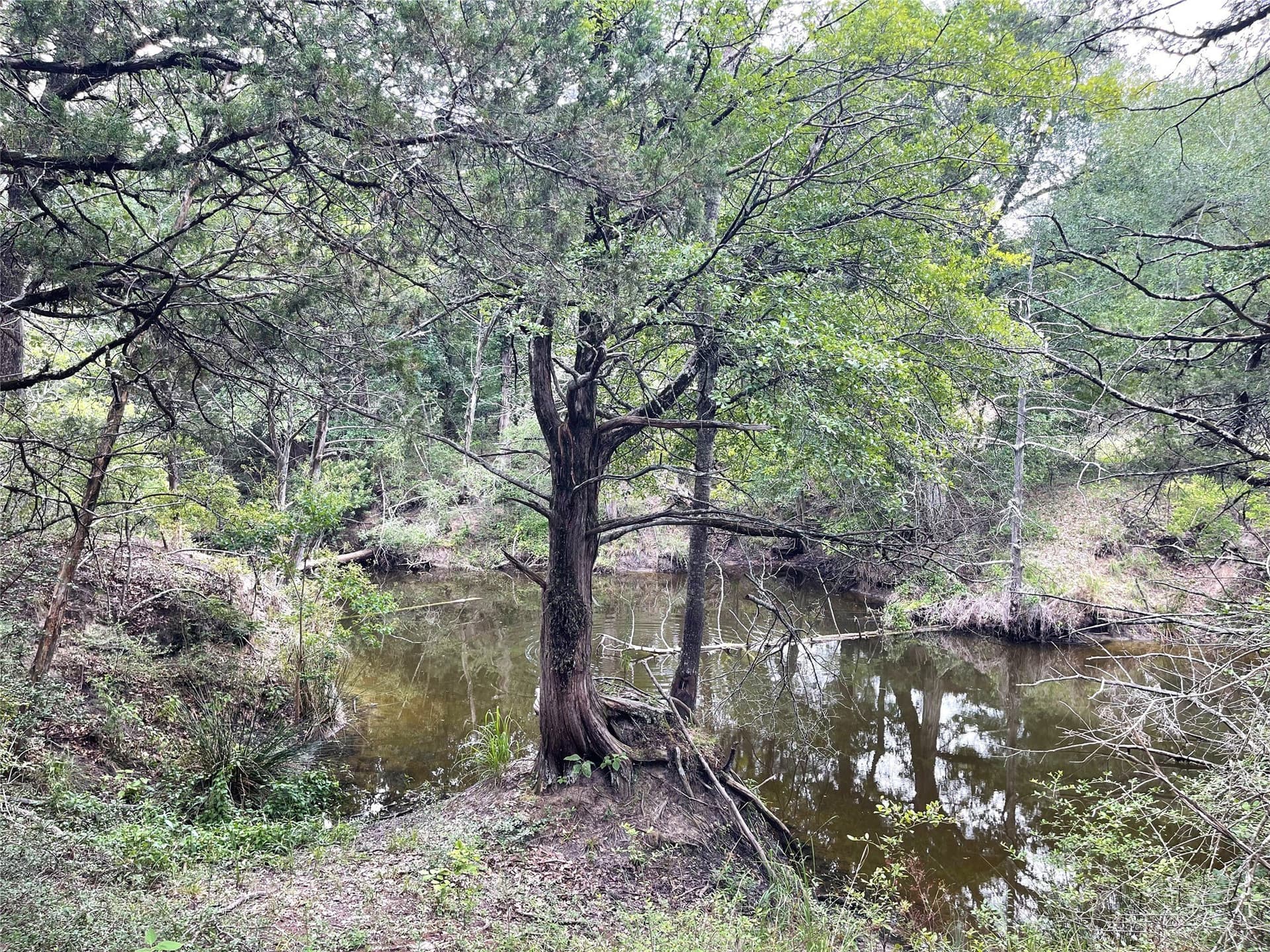 9.91 acres in Freestone County - photo 12