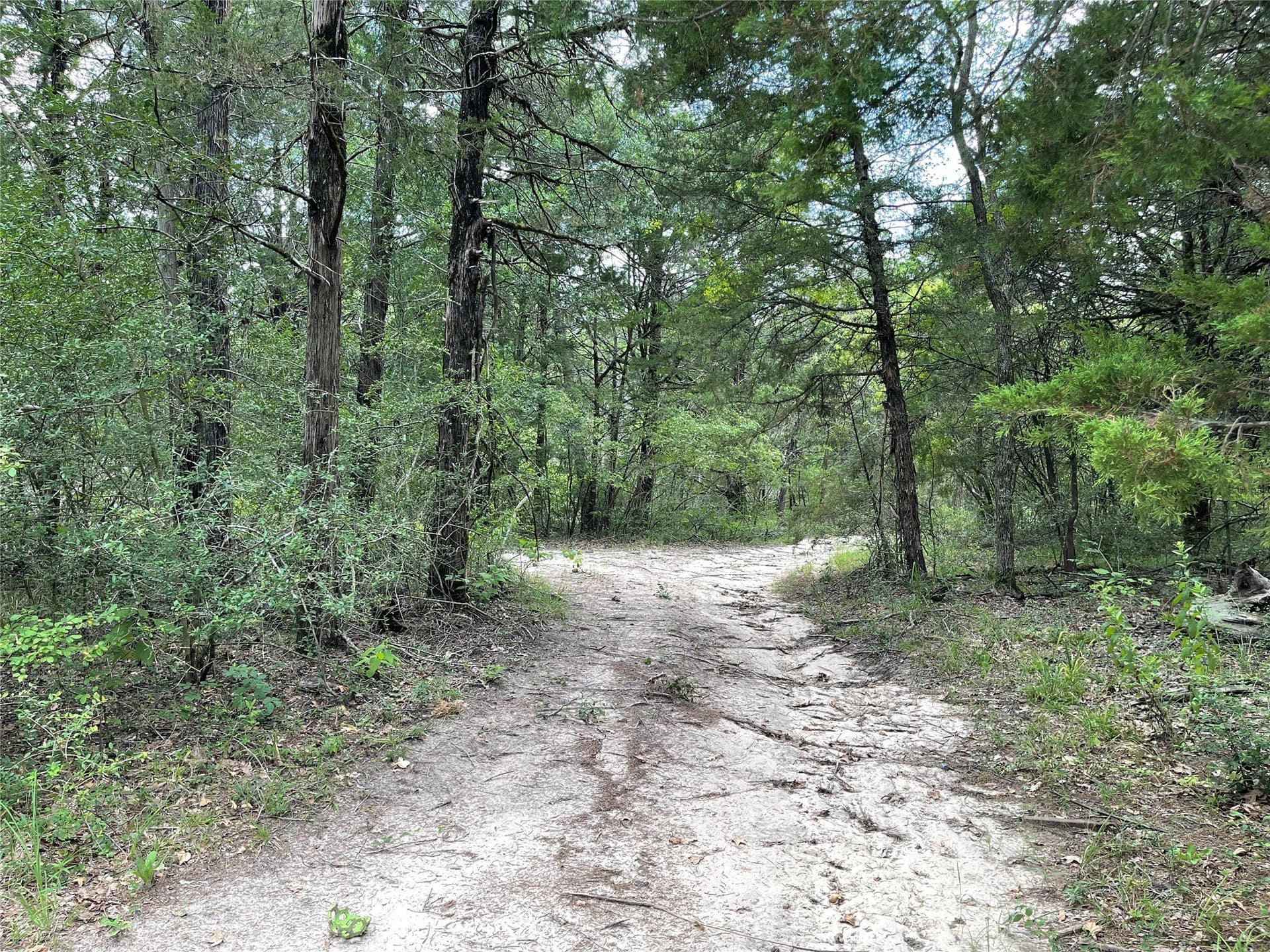 9.91 acres in Freestone County - photo 23