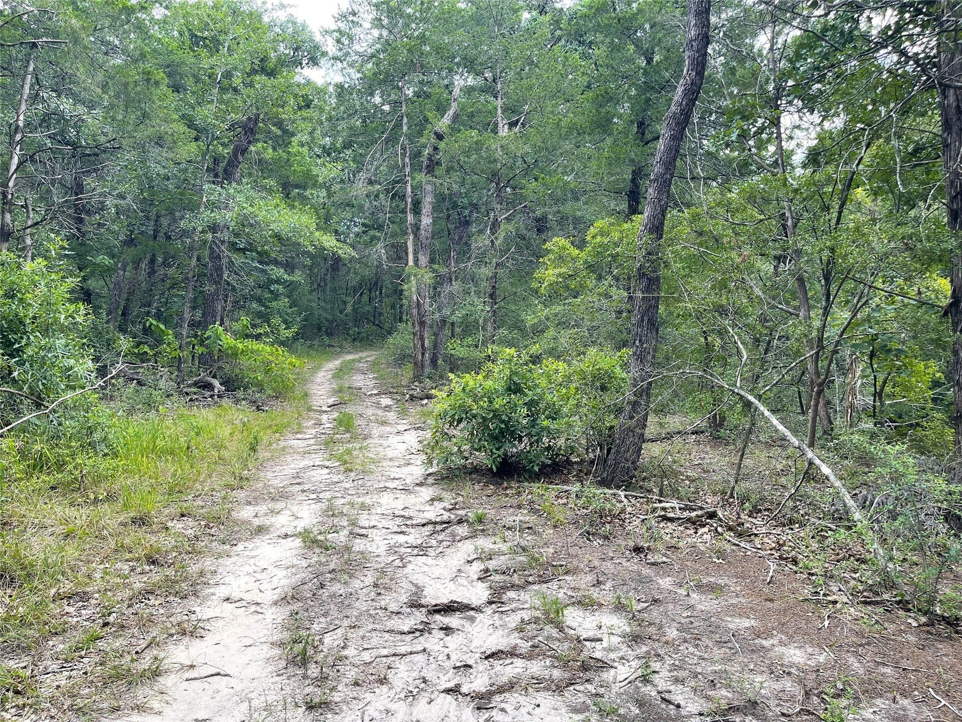 9.91 acres in Freestone County - photo 24