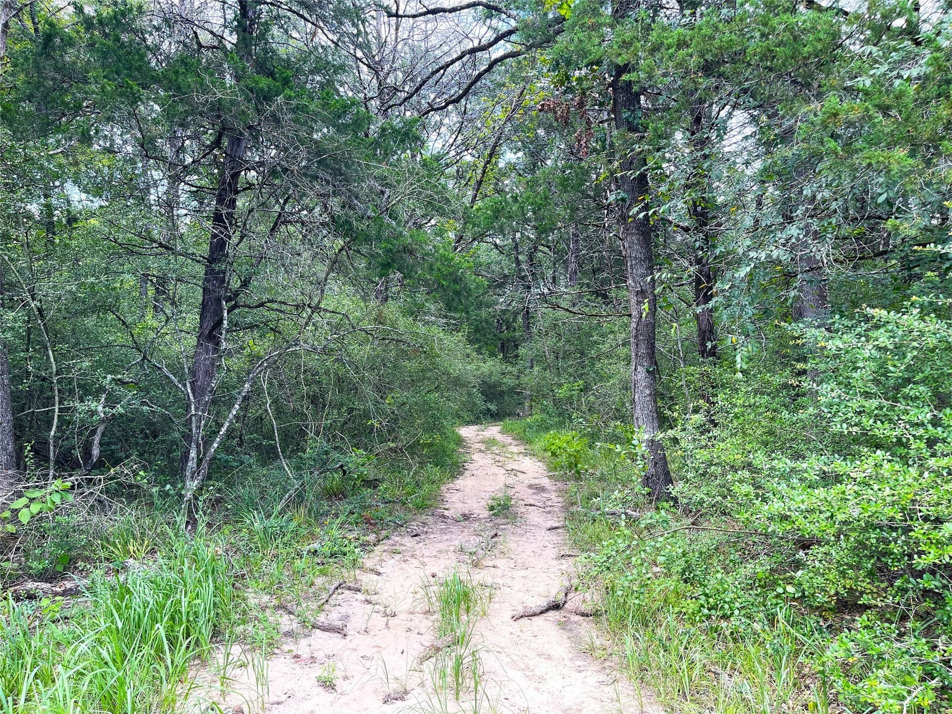 9.91 acres in Freestone County - photo 22