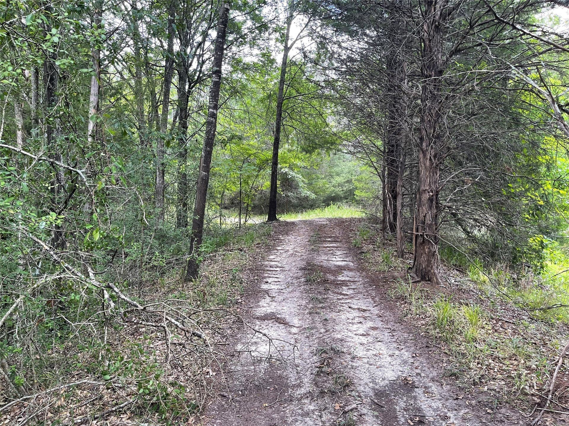 9.91 acres in Freestone County - photo 9
