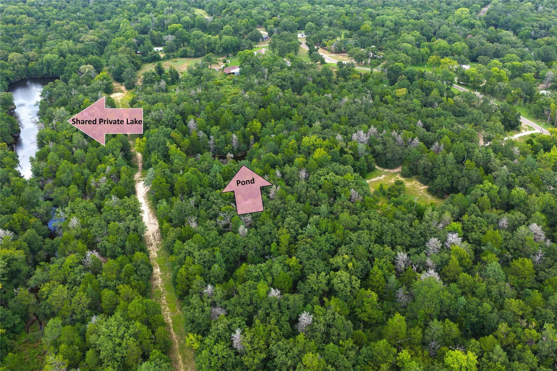 9.91 acres in Freestone County - photo 2