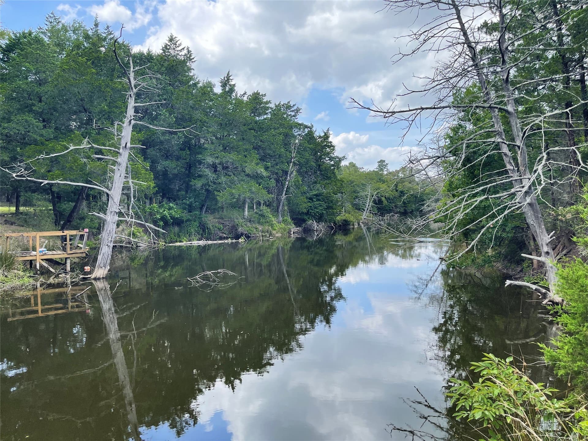 9.91 acres in Freestone County - photo 3