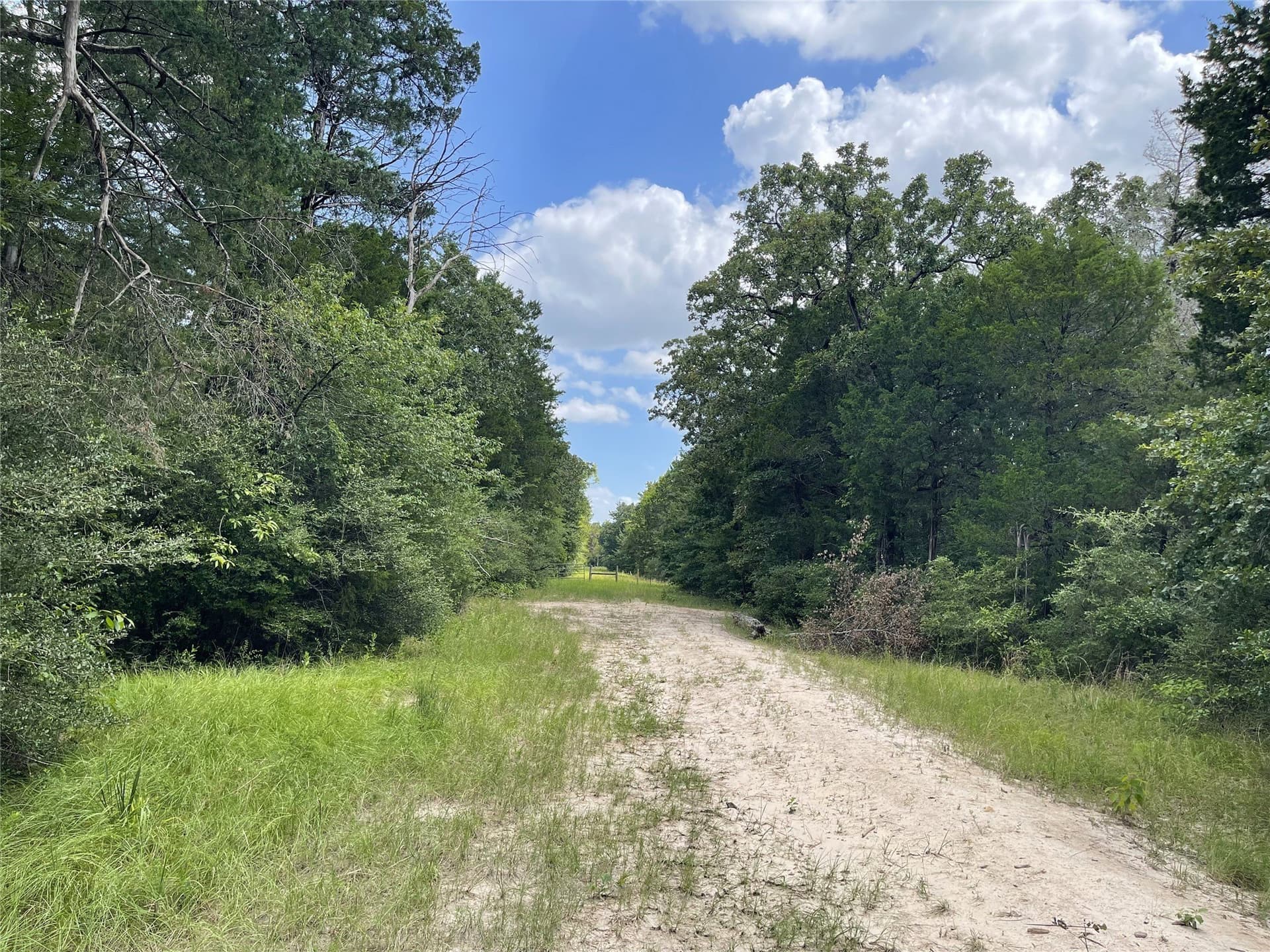 9.91 acres in Freestone County - photo 6