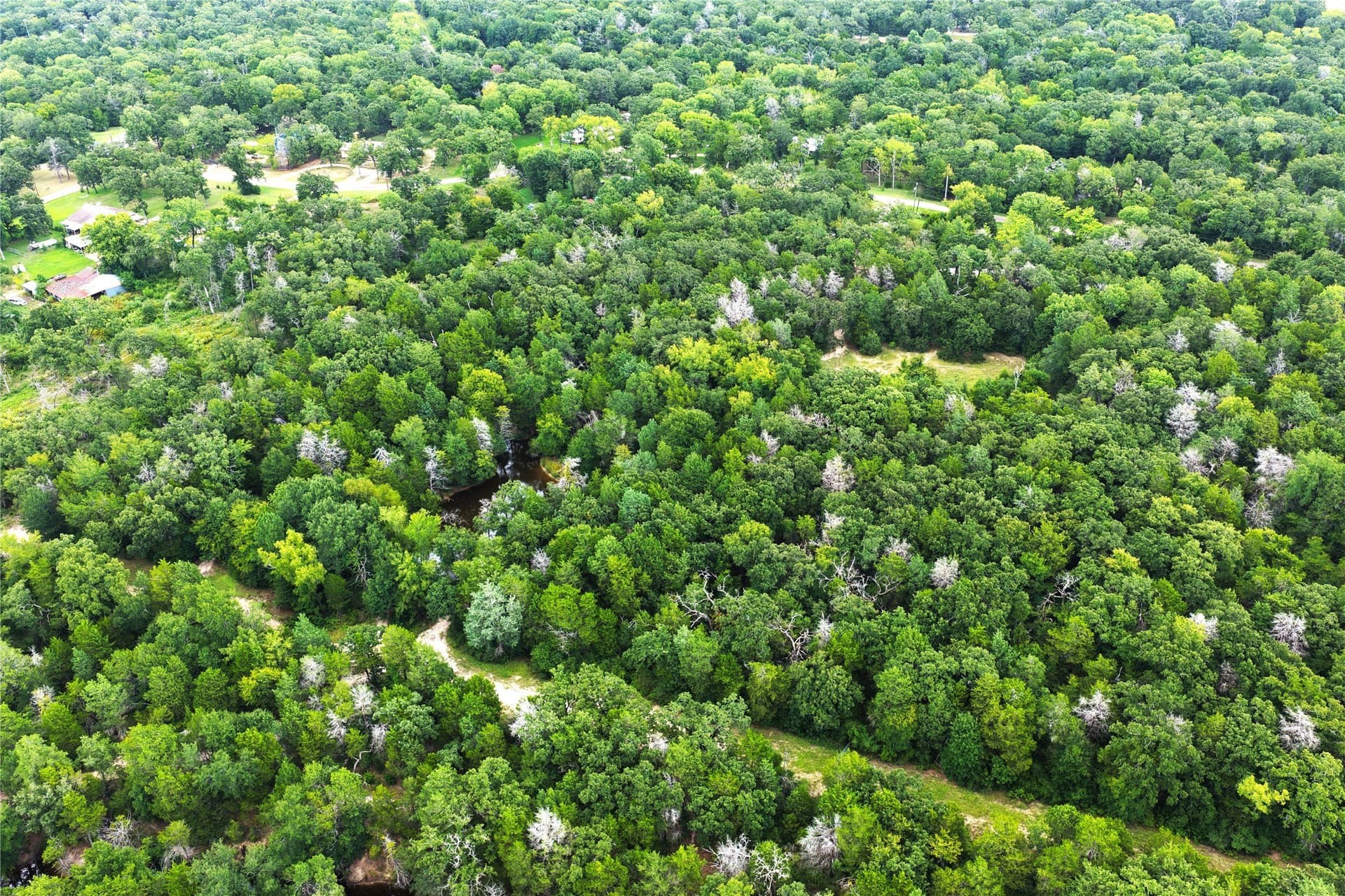 9.91 acres in Freestone County - photo 25