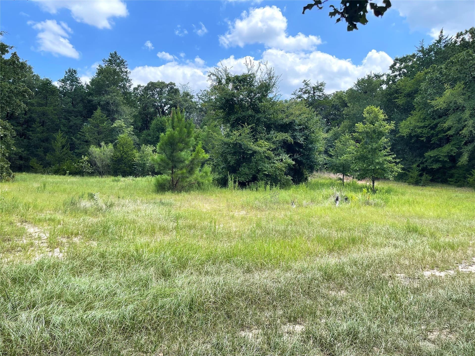 9.91 acres in Freestone County - photo 21