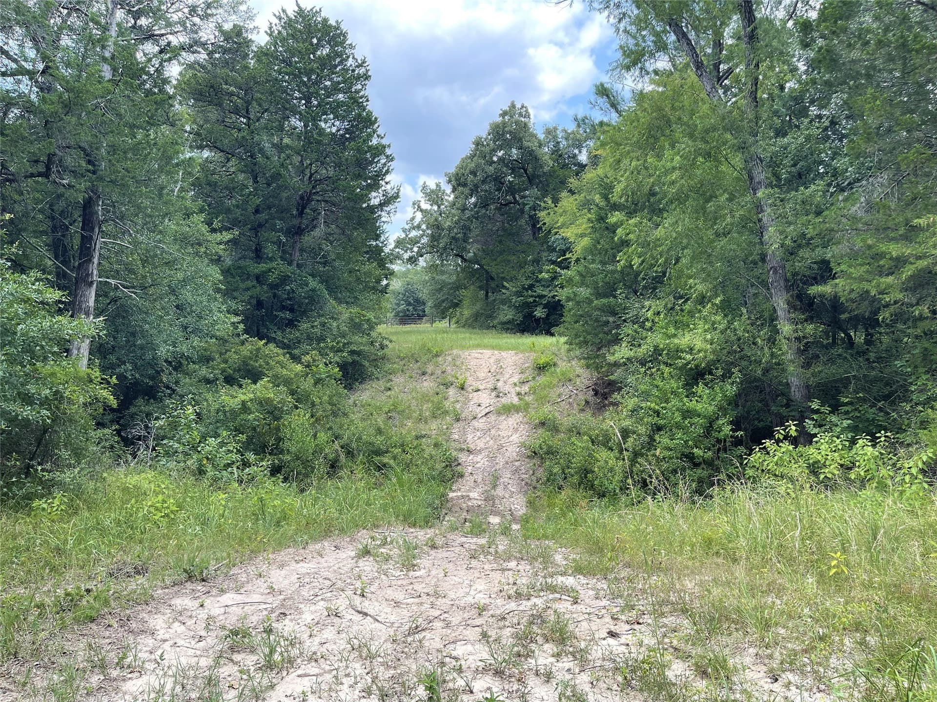 9.91 acres in Freestone County - photo 5