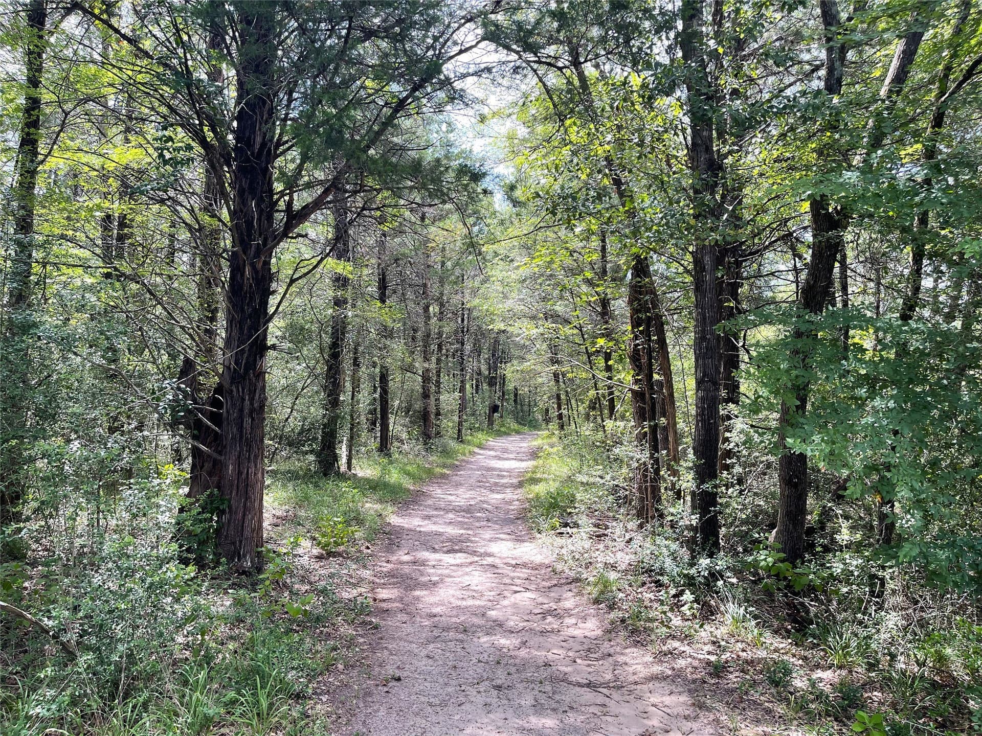 9.91 acres in Freestone County - photo 7