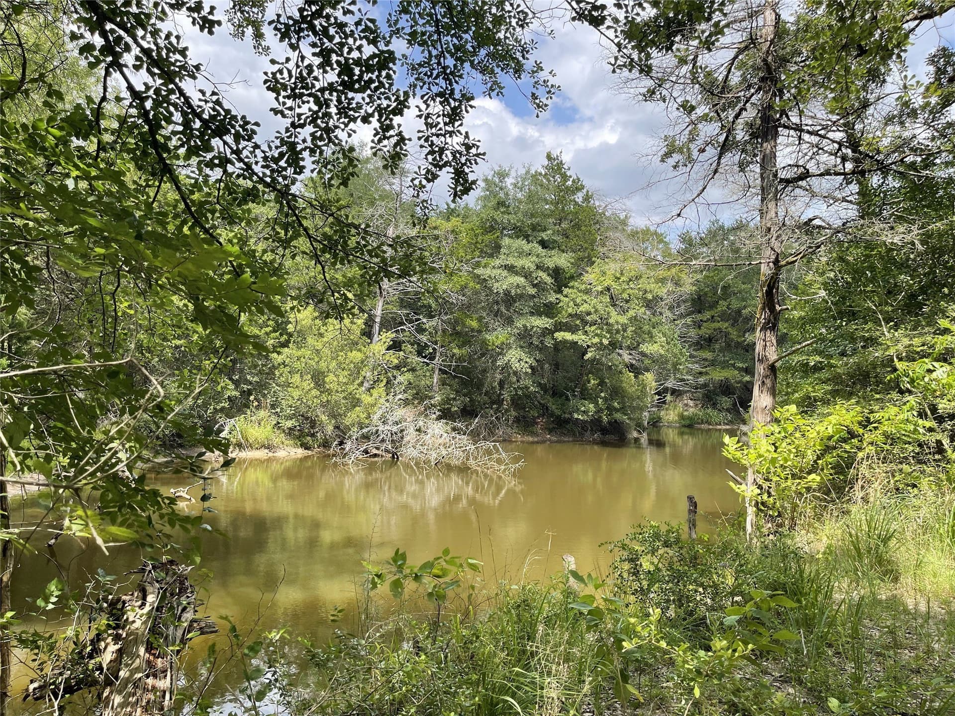 9.91 acres in Freestone County - photo 10