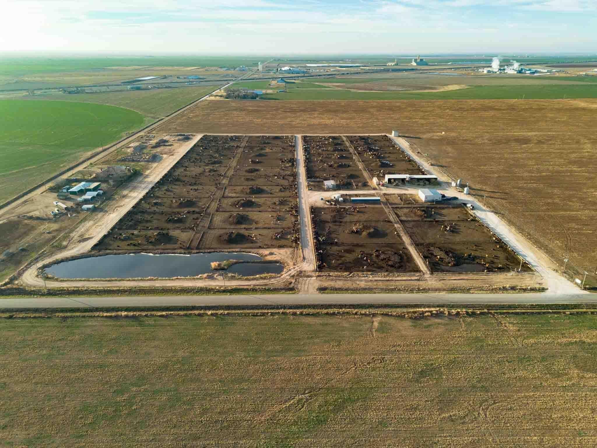 30 acres in Deaf Smith County gallery image 2