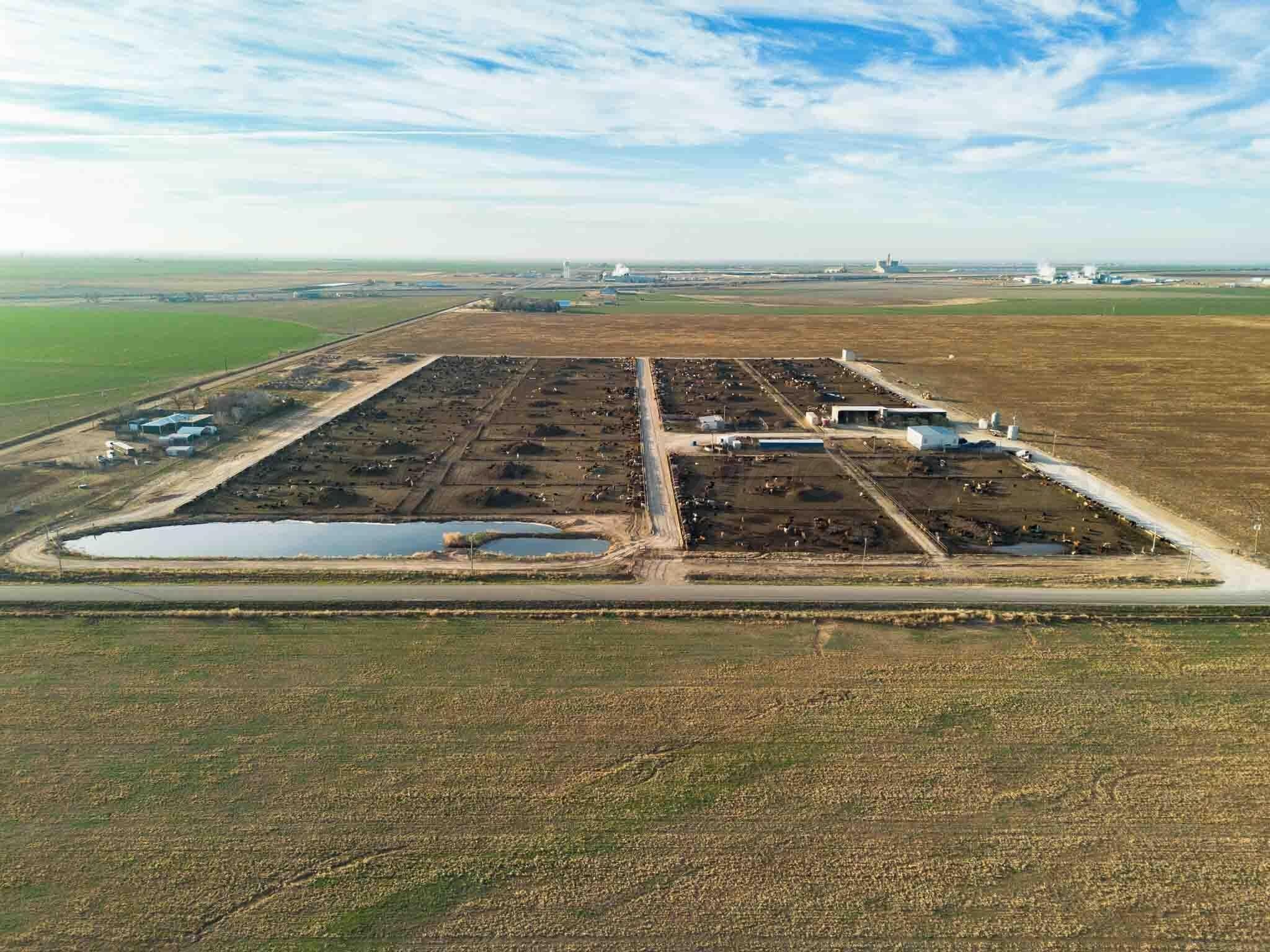 30 acres in Deaf Smith County gallery image 3