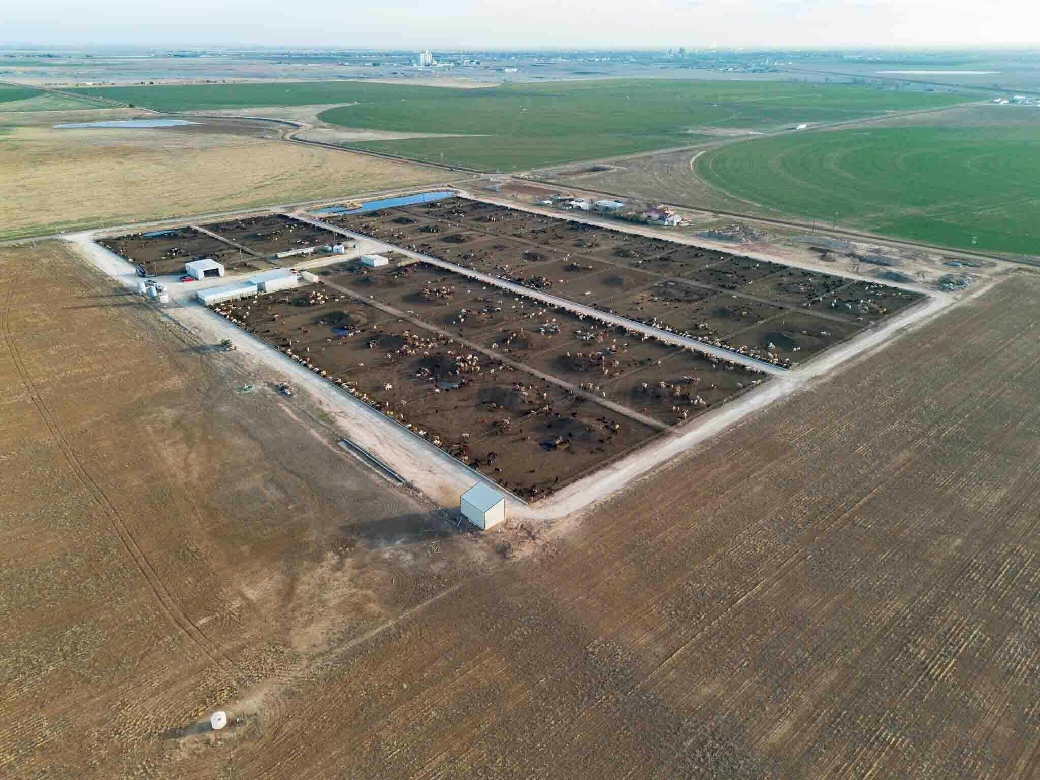 30 acres in Deaf Smith County featured view