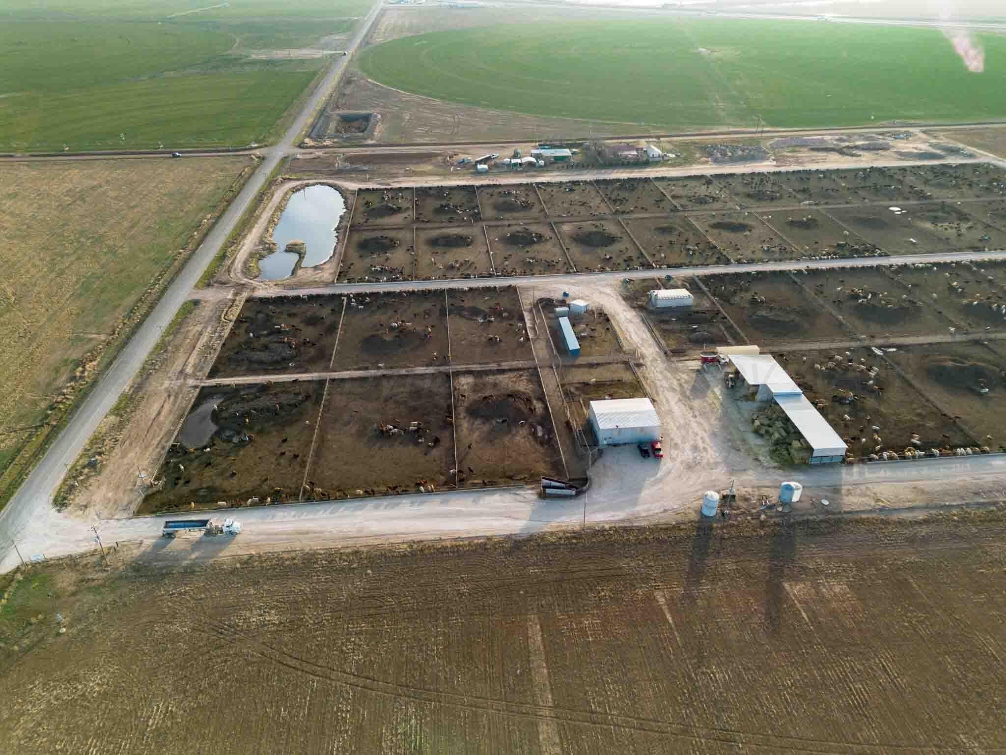 30 acres in Deaf Smith County gallery image 4