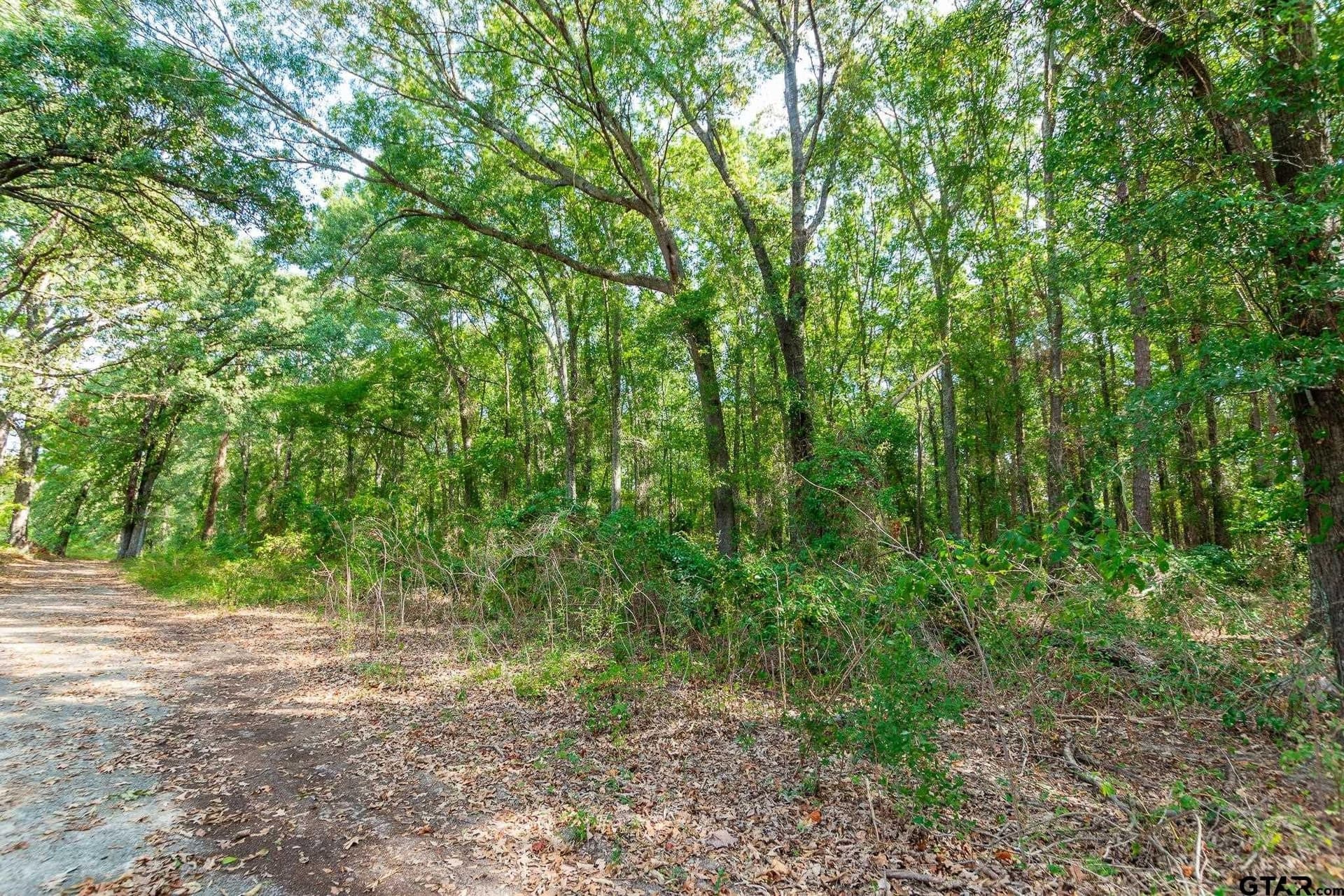 19.88 acres in Smith County - photo 4