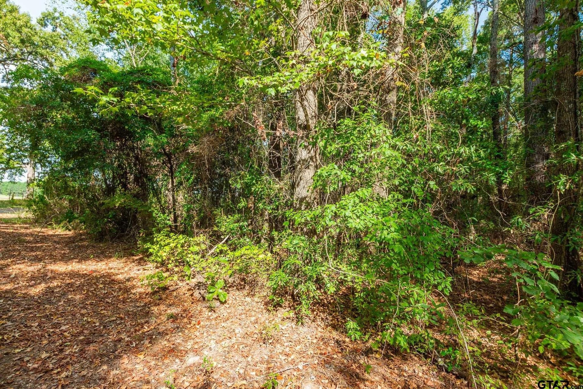 19.88 acres in Smith County - photo 3
