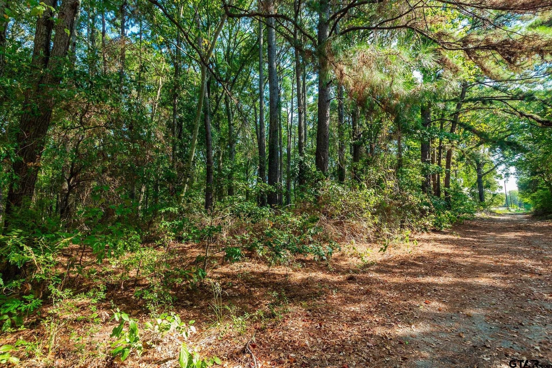 19.88 acres in Smith County - photo 2
