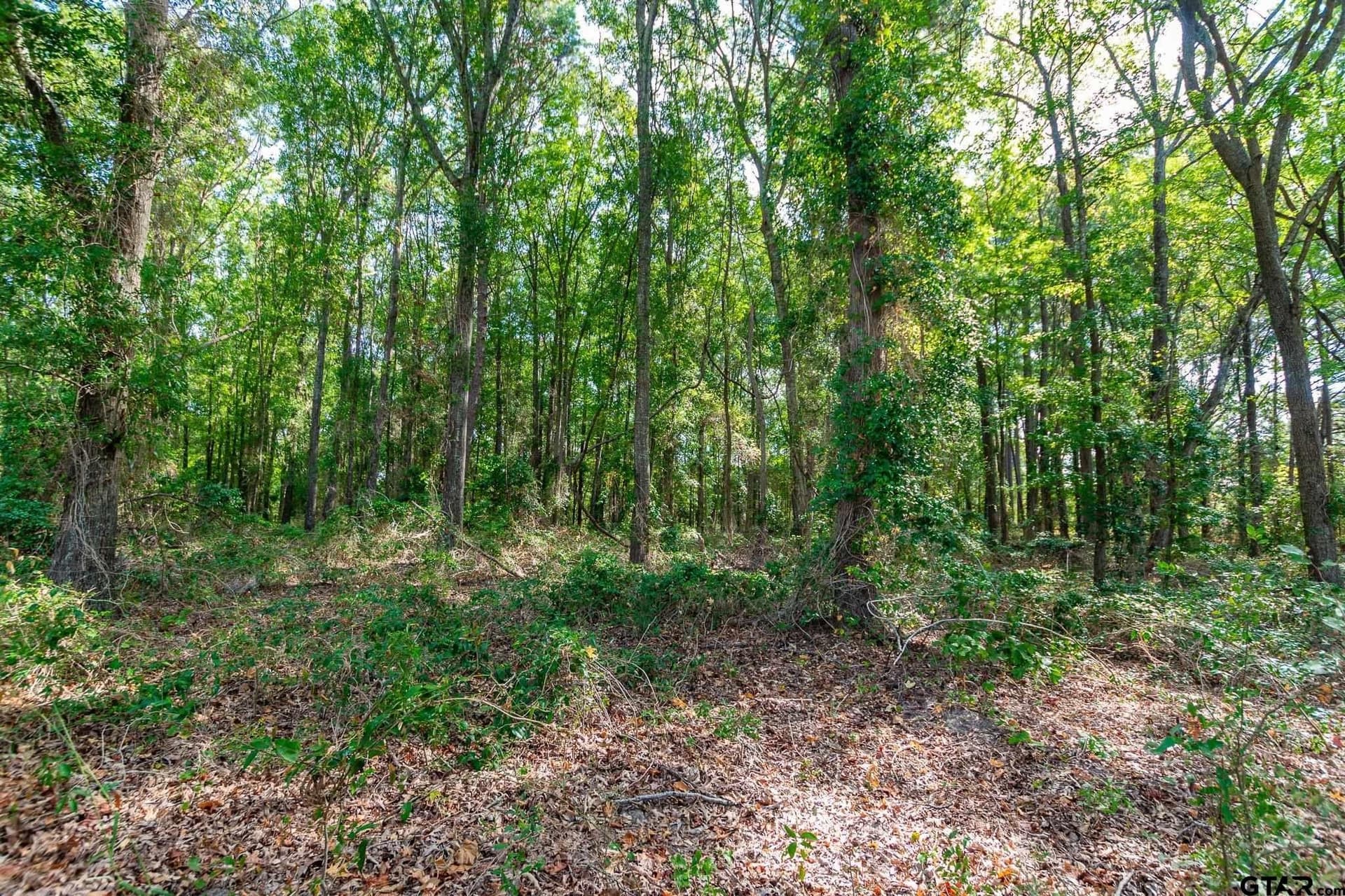 19.88 acres in Smith County - photo 5