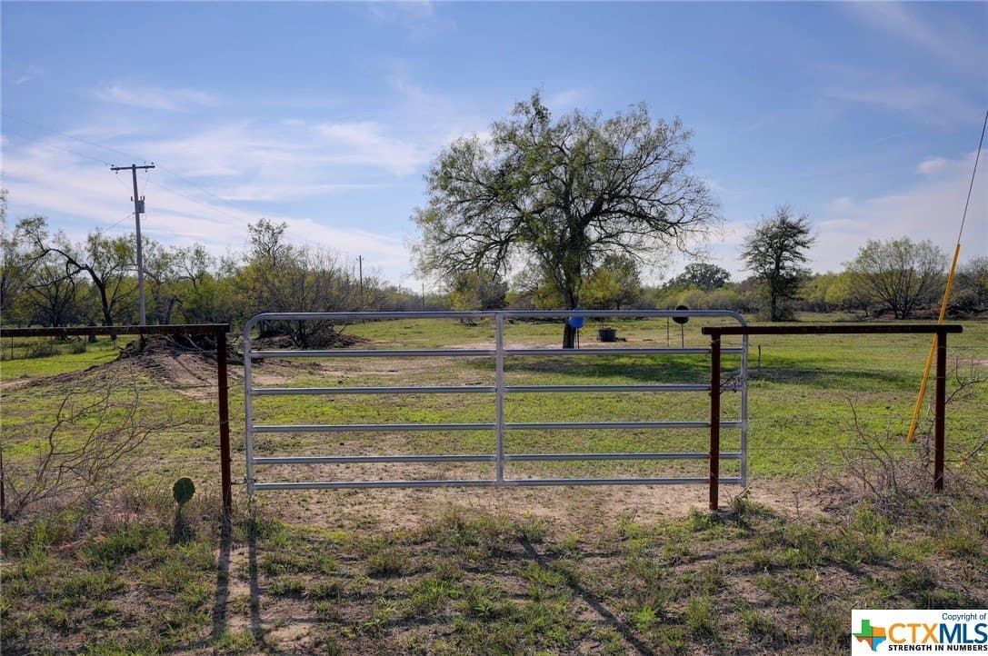 20 acres in Guadalupe County gallery image 2